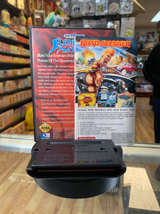 Elemental Master (Sega Genesis, Vintage Video Games) COMPLETE - Bitz & Buttons