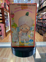 Apricot with Hopsalot Doll (Vintage Strawberry Shortcake, Kenner) **SEALED** - Bitz & Buttons
