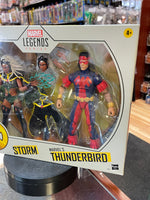 Storm & Thunderbird 2 Pack (X-Men, Marvel Legends, Hasbro) SEALED
