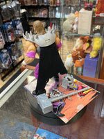 Triple H as Skeletor (WWE MOTU, Mattel) **COMPLETE**