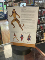 The Cheetah (DC Essentials, DC Collectibles) SEALED (Copy) - Bitz & Buttons