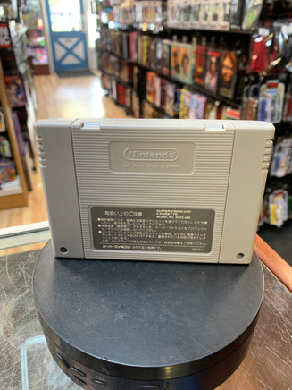 Castlevania: Dracula X (Nintendo Famicom, Vintage Video Games) - Bitz & Buttons