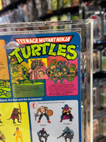 Raphael 10 Back Hard Head (Vintage TMNT Ninja Turtles, Playmates) **CAS Graded 85**