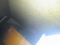 Destro Razorback (Vintage GI Joe, Hasbro) **NEW** - Bitz & Buttons