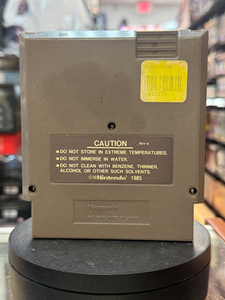 Adventure Island (Vintage Nintendo NES, Video Game) - Bitz & Buttons