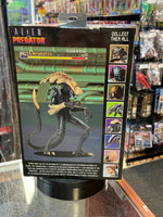 Chrysalis Alien (NECA, Predator vs Alien) **SEALED**