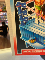 Official Wrestling Ring International (Vintage WWE WWF, Hasbro) Sealed