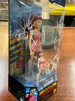 Giganta -Fan Collection- (Justice League Collection, Mattel) SEALED