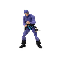 11th Phantom 1/18th Scale (Phantom Hero Hacks, Boss Fight Studio) - Bitz & Buttons