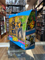 Polaris & Havok -XMEN- (Marvel Legends, Hasbro) *SEALED*