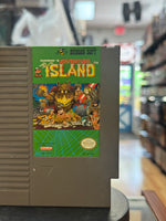 Adventure Island (Vintage Nintendo NES, Video Game) - Bitz & Buttons