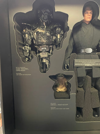 Deluxe Luke Skywalker #DX23 (Hot Toys, Star Wars) COMPLETE - Bitz & Buttons