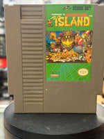 Adventure Island (Vintage Nintendo NES, Video Game) - Bitz & Buttons