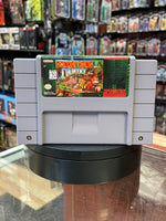 Donkey Kong Country 0417 (Super Nintendo SNES, Vintage Video Games) - Bitz & Buttons