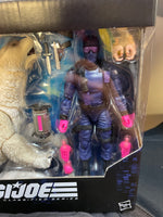 Snake Eyes & Polar Bear (GI Joe Classified Series, Hasbro) SEALED - Bitz & Buttons