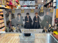 Ron/Hermione/Dumbledore/McGonagall 5 Pack Doll (Harry Potter, Mattel) **SEALED**