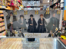Ron/Hermione/Dumbledore/McGonagall 5 Pack Doll (Harry Potter, Mattel) **SEALED**