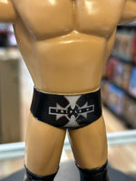 Triple H LJN Style (WWF Classic Superstars, Jakks Pacific) LOOSE - Bitz & Buttons