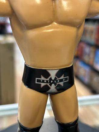 Triple H LJN Style (WWF Classic Superstars, Jakks Pacific) LOOSE - Bitz & Buttons