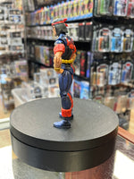 Warpath 3.75 (Marvel Universe, Hasbro) - Bitz & Buttons