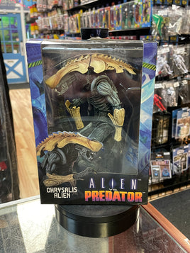 Chrysalis Alien (NECA, Predator vs Alien) **SEALED**