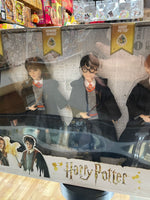 Ron/Hermione/Dumbledore/McGonagall 5 Pack Doll (Harry Potter, Mattel) **SEALED**