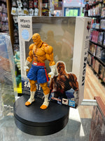 Sagat No.12 (Street Fighter, Bandai SH Figuarts) COMPLETE