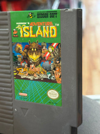 Adventure Island (Vintage Nintendo NES, Video Game) - Bitz & Buttons
