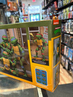 Cartoon Series 4 Pack Walmart Exclusive (NECA, TMNT Ninja Turtles) **Sealed**