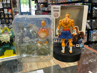 Sagat No.12 (Street Fighter, Bandai SH Figuarts) COMPLETE