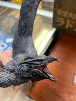 Rodan 2019 Pvc Figure Garage Toy (Godzilla II TOHO, X Plus Kaiju Series, Monsterverse) INCOMPLETE