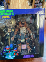 Tokka & Rahzar (NECA, TMNT Ninja Turtles) NEW