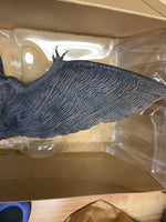 Rodan 2019 Pvc Figure Garage Toy (Godzilla II TOHO, X Plus Kaiju Series, Monsterverse) INCOMPLETE