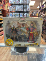 Storm & Thunderbird (Marvel Legends, Hasbro) **SEALED**