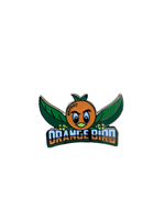 FantasyLand Football Orange bird (Walt Disney World, Pin Traders)