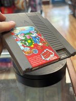 Taito Bubble Bobble  (Vintage Nintendo NES, Video Game) - Bitz & Buttons