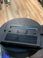 Greendog The Beached Surfer Dude (Sega Genesis, Video Game)**TESTED** - Bitz & Buttons