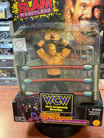 Diamond Dallas Page 1427 (WCW Smash N' Slam, Toybiz) **SEALED**