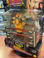 Diamond Dallas Page 1427 (WCW Smash N' Slam, Toybiz) **SEALED**