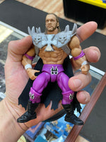 Triple H as Skeletor (WWE MOTU, Mattel) **COMPLETE**