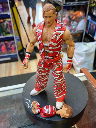 Fan Takeover Shawn Michaels (WWE Elite Ultimate, Mattel) - Bitz & Buttons