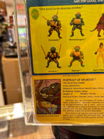 Splinter 10 Back Hard Head (Vintage TMNT Ninja Turtles, Playmates) *CAS Graded 80+*