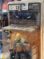 Rogues Gallery Hugo Strange  (Secret Files, DC Direct)