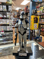 501st Battalion Clone Trooper TMS022 (Star Wars, Hot Toys) COMPLETE