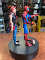 Mary Jane & Spider-Man 2 Pack (Marvel Legends, Hasbro) LOOSE