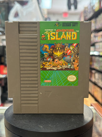 Adventure Island (Vintage Nintendo NES, Video Game) - Bitz & Buttons