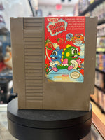 Taito Bubble Bobble  (Vintage Nintendo NES, Video Game) - Bitz & Buttons