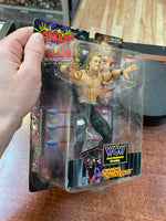DDP Diamond Dallas Page (WCW Smash N' Slam, Toybiz) **SEALED**