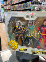 Storm & Thunderbird 2 Pack (X-Men, Marvel Legends, Hasbro) SEALED