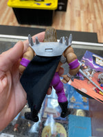 Triple H as Skeletor (WWE MOTU, Mattel) **COMPLETE**